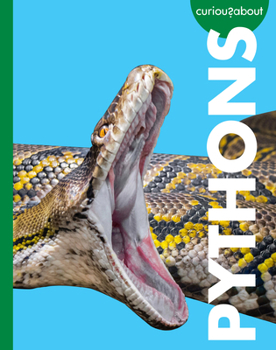 Library Binding Curious about Pythons Book