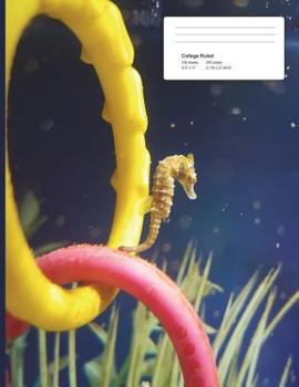 Paperback College Ruled Notebook 8 x 11.5 200 Pages: Seahorse - College Ruled Notebook 8 x 11.5 200 Pages - Paperback Book