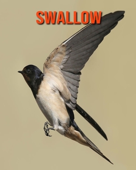 Paperback Swallow: Amazing Facts about Swallow Book