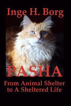 Paperback Pasha, From Animal Shelter to A Sheltered Life Book