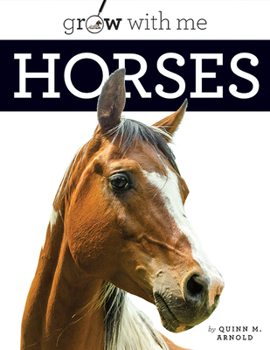 Paperback Horses Book
