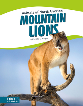 Paperback Mountain Lions Book