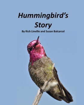 Paperback Hummingbird's Story Book
