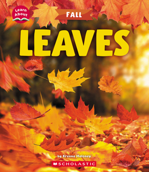 Paperback Leaves (Learn About: Fall) Book