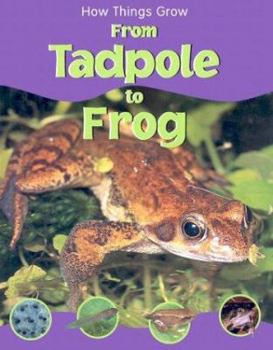 Paperback From Tadpole to Frog (How Things Grow) Book