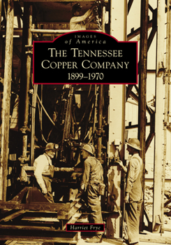 Paperback The Tennessee Copper Company: 1899-1970 Book