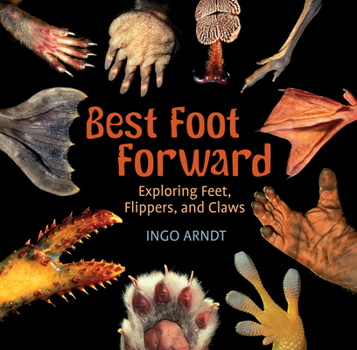 Paperback Best Foot Forward: Exploring Feet, Flippers, and Claws Book