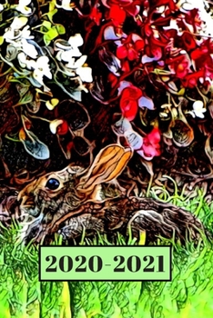 Paperback Brown Bunny Rabbit in the Garden Dated Calendar Planner 2 years To-Do Lists, Tasks, Notes Appointments: Pretty Small Pocket/Purse Size at-A-Glance Sch Book