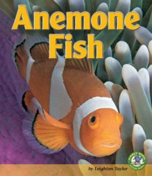 Library Binding Anemone Fish Book