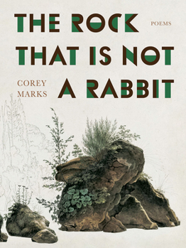 Paperback The Rock That Is Not a Rabbit: Poems Book