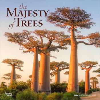Calendar The Majesty of Trees 2026 12 X 24 Inch (Hanging) Monthly Square Wall Calendar Plastic-Free Book