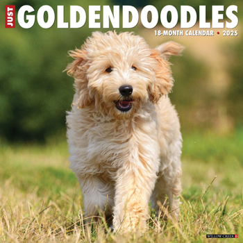 Calendar Just Goldendoodles 2025 12 X 12 Wall Calendar Book
