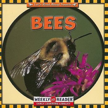 Bees (Insects) - Book  of the Let's Read About Insects