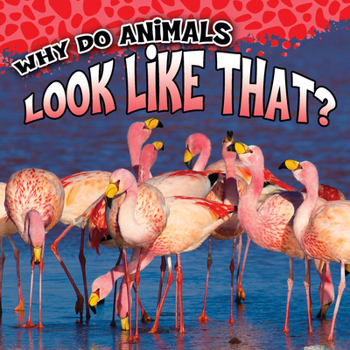 Paperback Why Do Animals Look Like That? Book