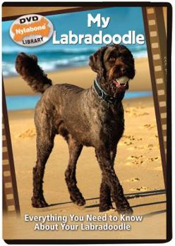 My Labradoodle: Everything You Need to Know about Your Labradoodle