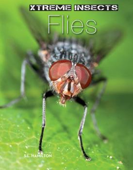 Flies - Book  of the Xtreme Insects