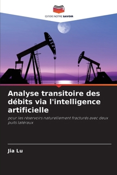 Analyse transitoire des débits via l'intelligence artificielle (French Edition)