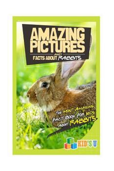 Paperback Amazing Pictures and Facts about Rabbits: The Most Amazing Fact Book for Kids about Rabbits Book