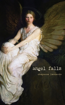 Paperback angel falls Book