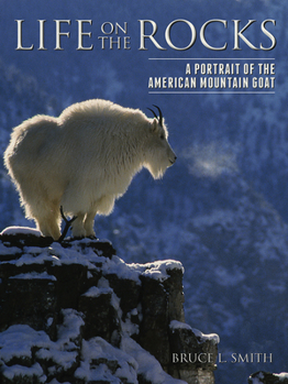 Hardcover Life on the Rocks: A Portrait of the American Mountain Goat Book