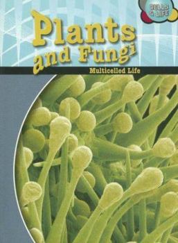 Plants & Fungi: Multicelled Life