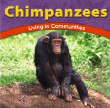 Hardcover Chimpanzees: Living in Communities Book