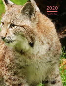 2020 A4 Diary Week To View Planner For All Occasions: | Year Planner For Business, Office, Home, University, College, School, Appointments, Organizer.