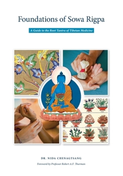 Foundations of Sowa Rigpa: A Guide to the Root Tantra of Tibetan Medicine