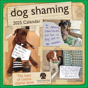 Calendar Dog Shaming 2025 Wall Calendar Book