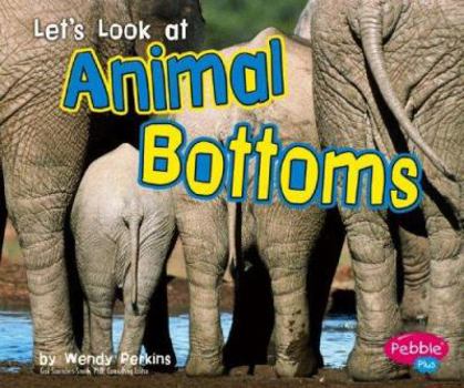 Hardcover Let's Look at Animal Bottoms Book