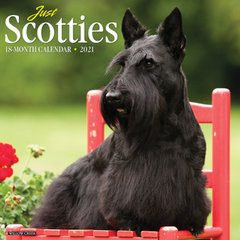 Calendar Just Scotties 2021 Wall Calendar (Dog Breed Calendar) Book