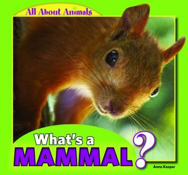 Paperback What's a Mammal? Book