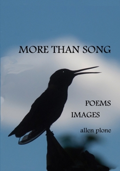 Paperback More Than Song: Poems & Images Book