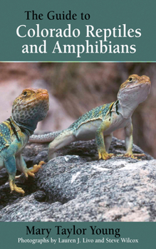 Paperback The Guide to Colorado Reptiles and Amphibians Book