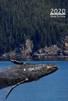 2020 A5 Diary Week To View Planner For All Occasions: | Year Planner For Business, Office, Home, University, College, School, Appointments, Organizer.