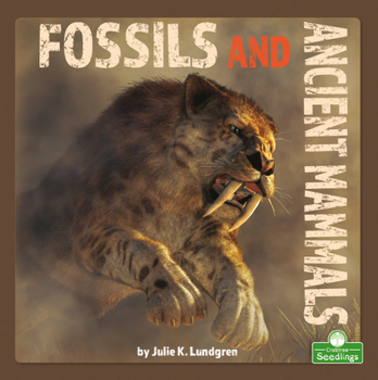 Paperback Fossils and Ancient Mammals Book