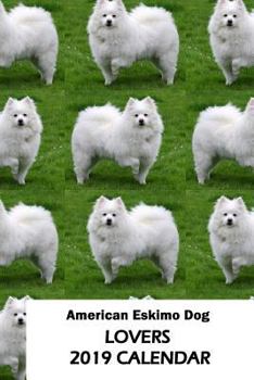 Paperback American Eskimo Dog Lovers 2019 Calendar Book