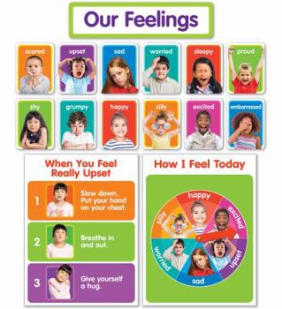 Misc. Our Feelings Bulletin Board Book