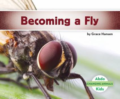 De Huevo a Mosca / Becoming a Fly - Book  of the Changing Animals