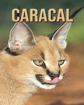 Paperback Caracal: Amazing Facts & Pictures Book