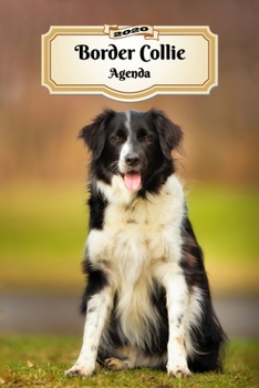 2020 Border Collie Agenda: 107 Pagine | Dimensioni DIN A5 | Pianificatore Settimanale | 12 Mesi | Due Pagine Per Settimana | Calendario | Diario | Cane (Italian Edition)