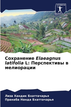 Paperback Сохранение Elaeagnus latifolia L: Перспект [Russian] Book