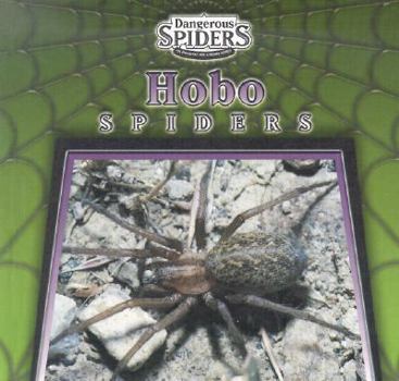 Hobo Spiders - Book  of the Dangerous Spiders
