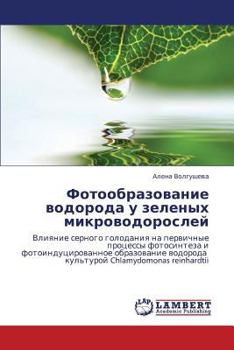Paperback Fotoobrazovanie Vodoroda U Zelenykh Mikrovodorosley [Russian] Book