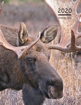 2020 A4 Diary Week To View Planner For All Occasions: Year Planner For Business, Office, Home, University, College, School, Appointments, Organizer.