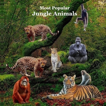 Paperback Most Popular Jungle Animals Kids Book: Great Children's Book About Animals of the Jungle Book