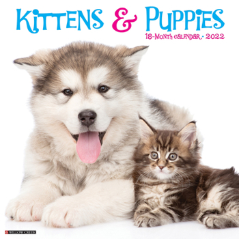 Calendar Kittens & Puppies 2022 Wall Calendar Book