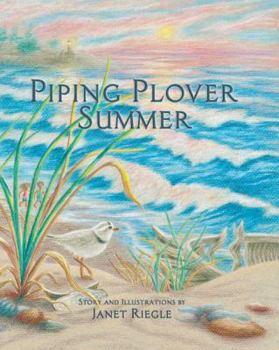 Paperback Piping Plover Summer Book