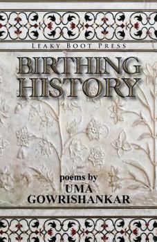 Paperback Birthing History Book