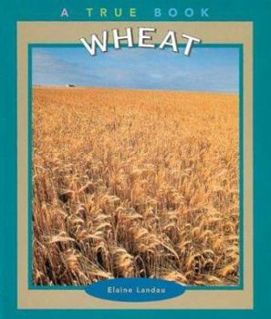 Wheat - Book  of the A True Book